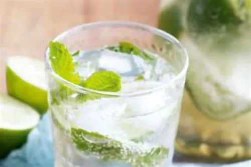 Lime Mint Soda
